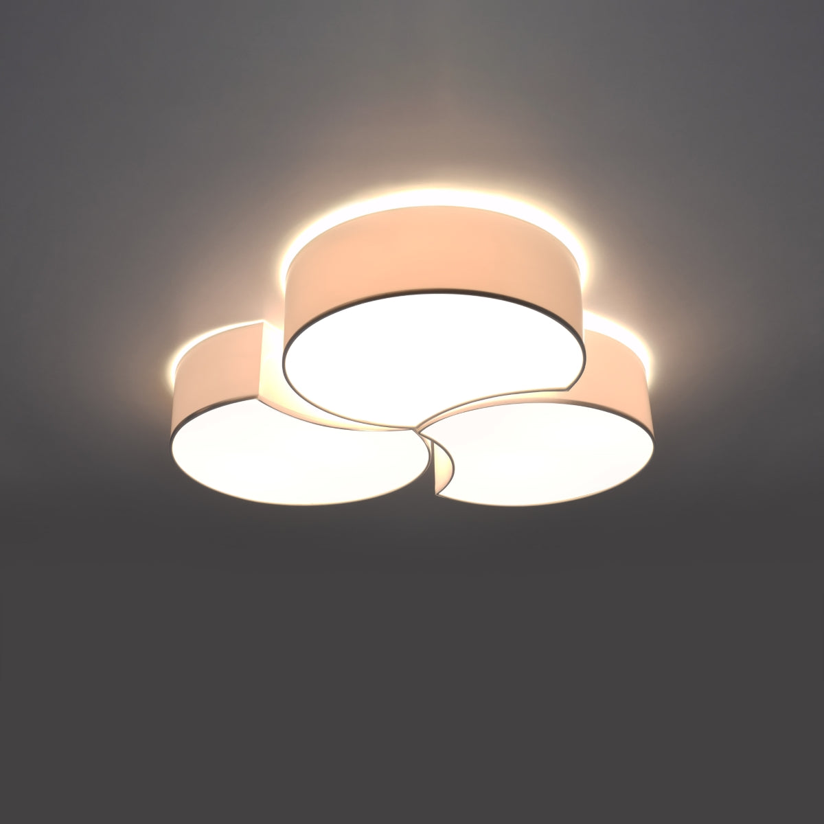 plafondlamp-circle-3b-wit